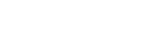 verizon-description